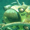 100 pics Sea Life answers Submarine