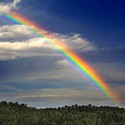 100 pics Spots Or Stripes answers Rainbow