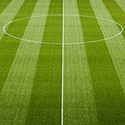 100 pics Spots Or Stripes answers Soccer Pitch