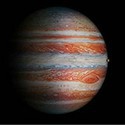 100 pics Spots Or Stripes answers Jupiter