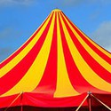 100 pics Spots Or Stripes answers Circus Tent