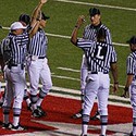 100 pics Spots Or Stripes answers Referees