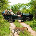100 pics Vacation answers Jeep Safari