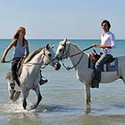 100 pics Vacation answers Horse Riding