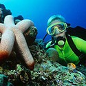 100 pics Vacation answers Scuba Diving